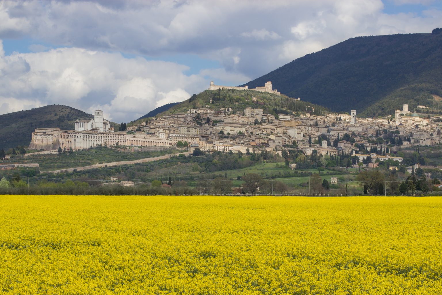 Giaco Assisi